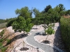 Orchard next to the Villa